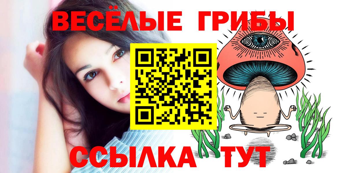 Галлюциногенные грибы мицелий  Вход с VPN  Заволжье 
